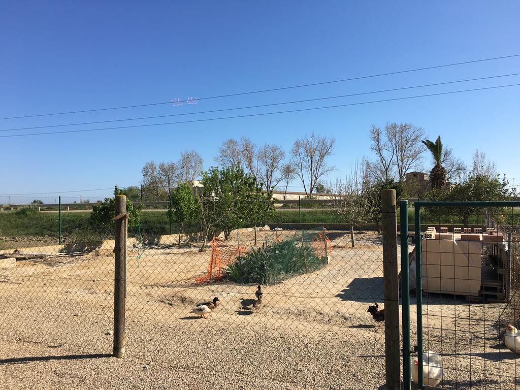 Caseta Les Creus Ріумар Екстер'єр фото